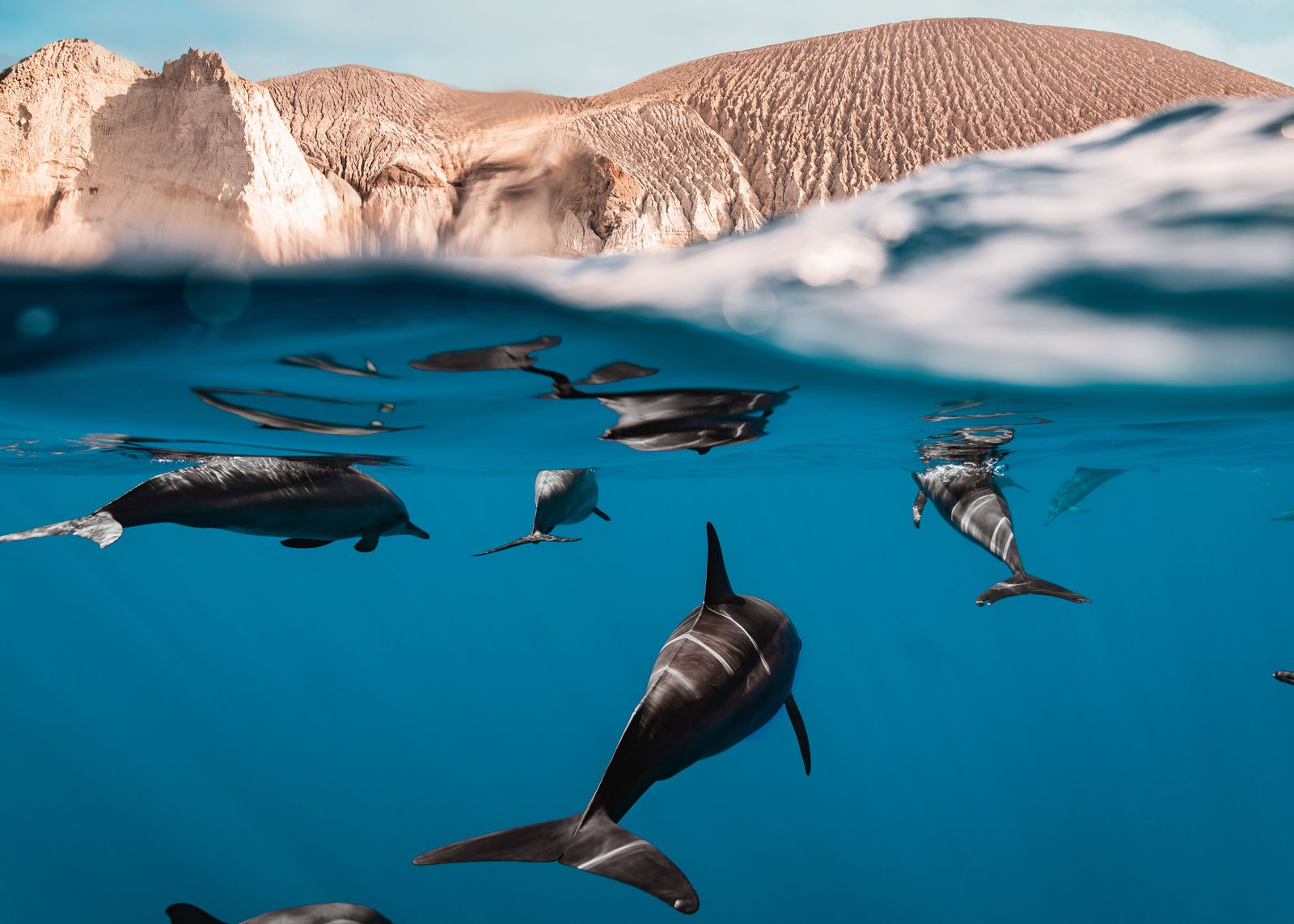3. Platz Natur | Tierwelt – Chaluk, Bundespreis Berufsfotografie 2025